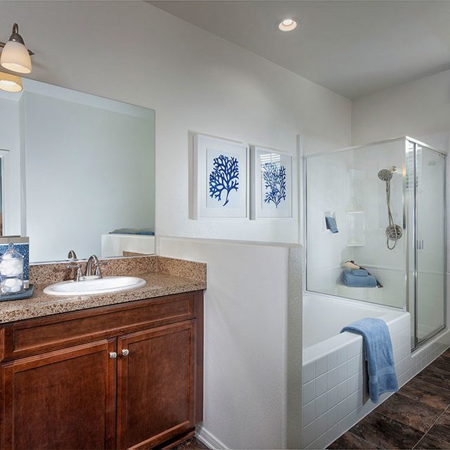 Homecoming at the Preserve Apartments - Bath tub and shower