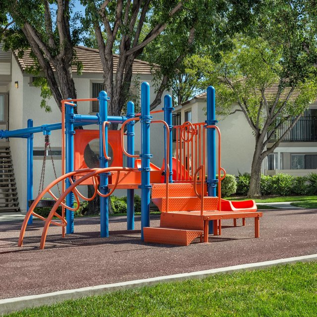 Play Area