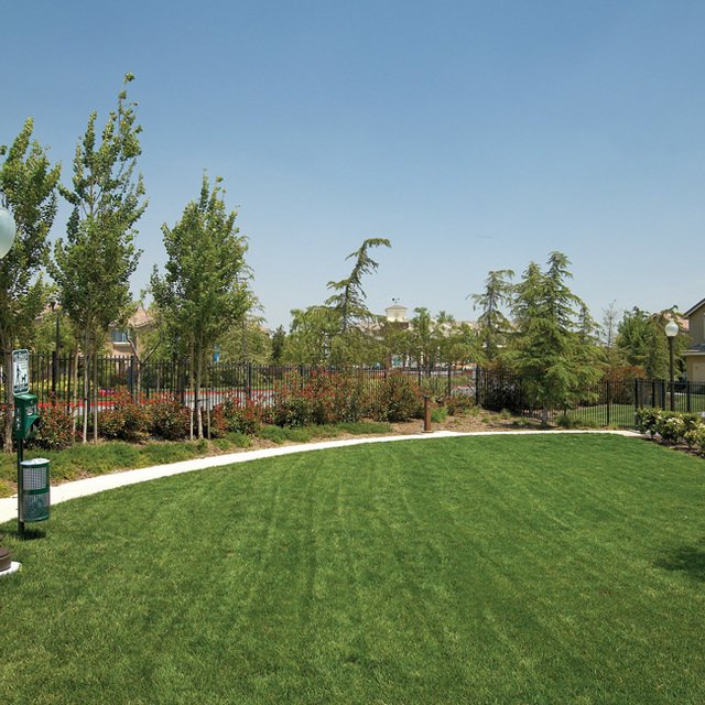 Dog park
