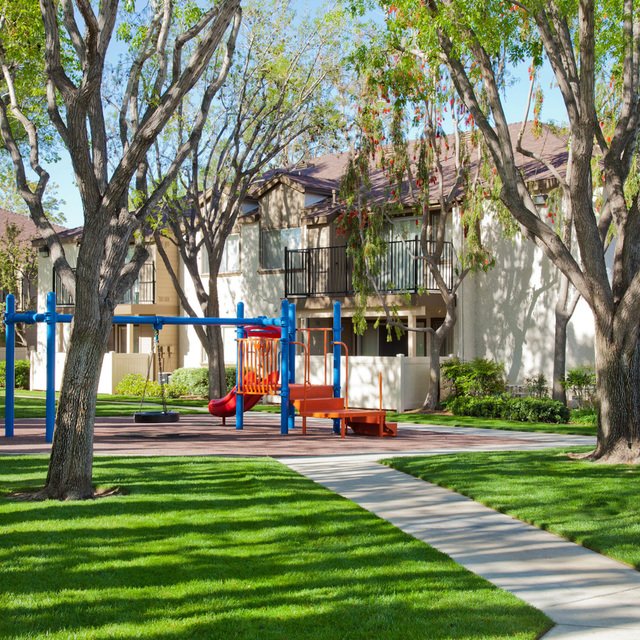 Play Area