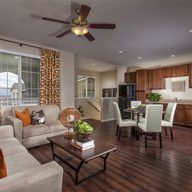 Homecoming at the Preserve Apartments - Living room with pattern curtains