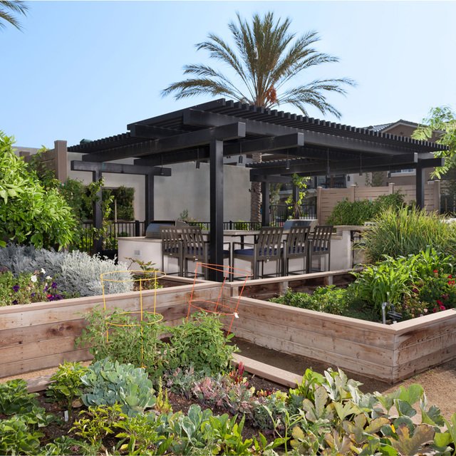Community Garden