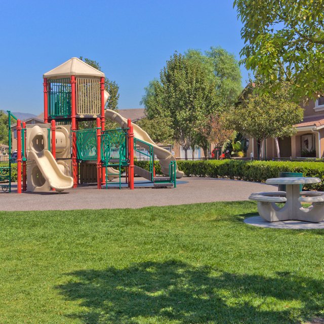 Play Area