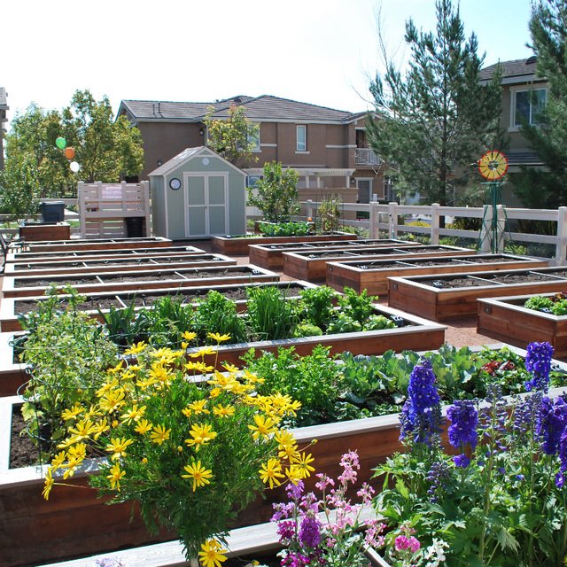 Community Garden