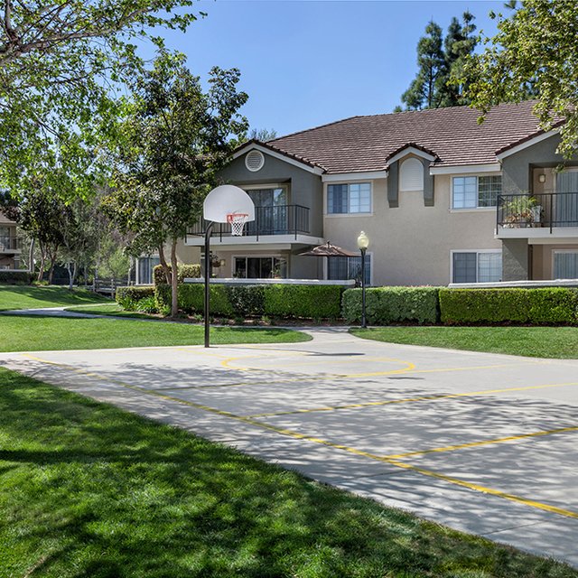 Basketball Court