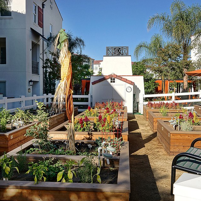 Community Garden