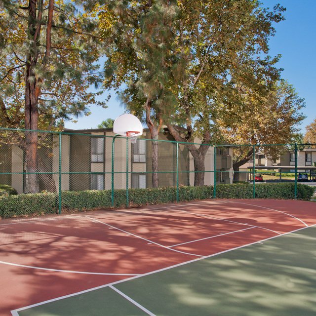 Basketball Court