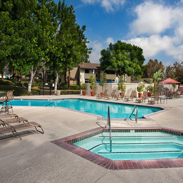 Pool and Spa
