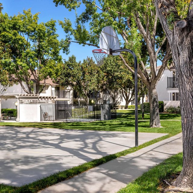 Basketball Court