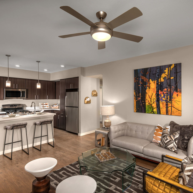 Kitchen with Living Area