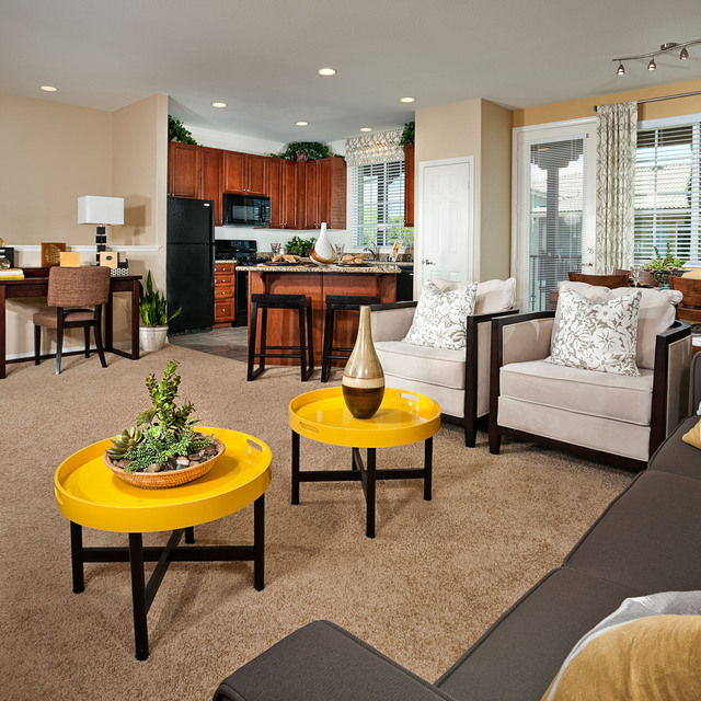 Kitchen with Living Area