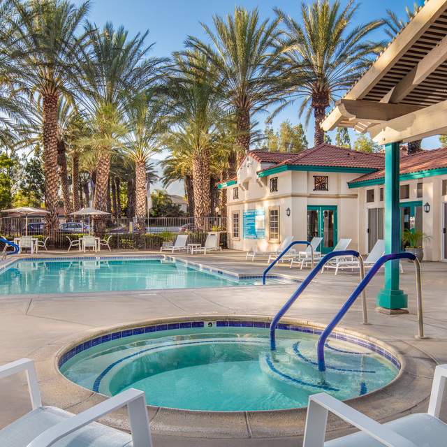 Pool and Spa