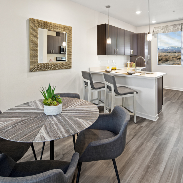 Kitchen with Living Area