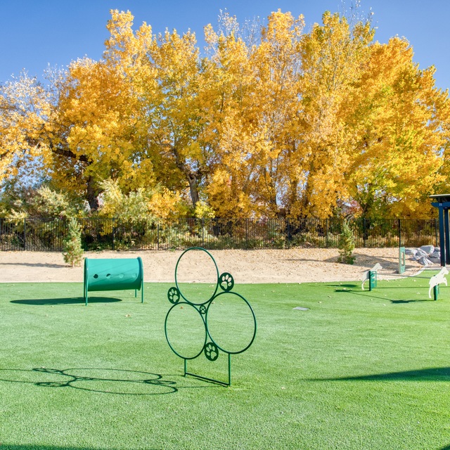 Dog Park