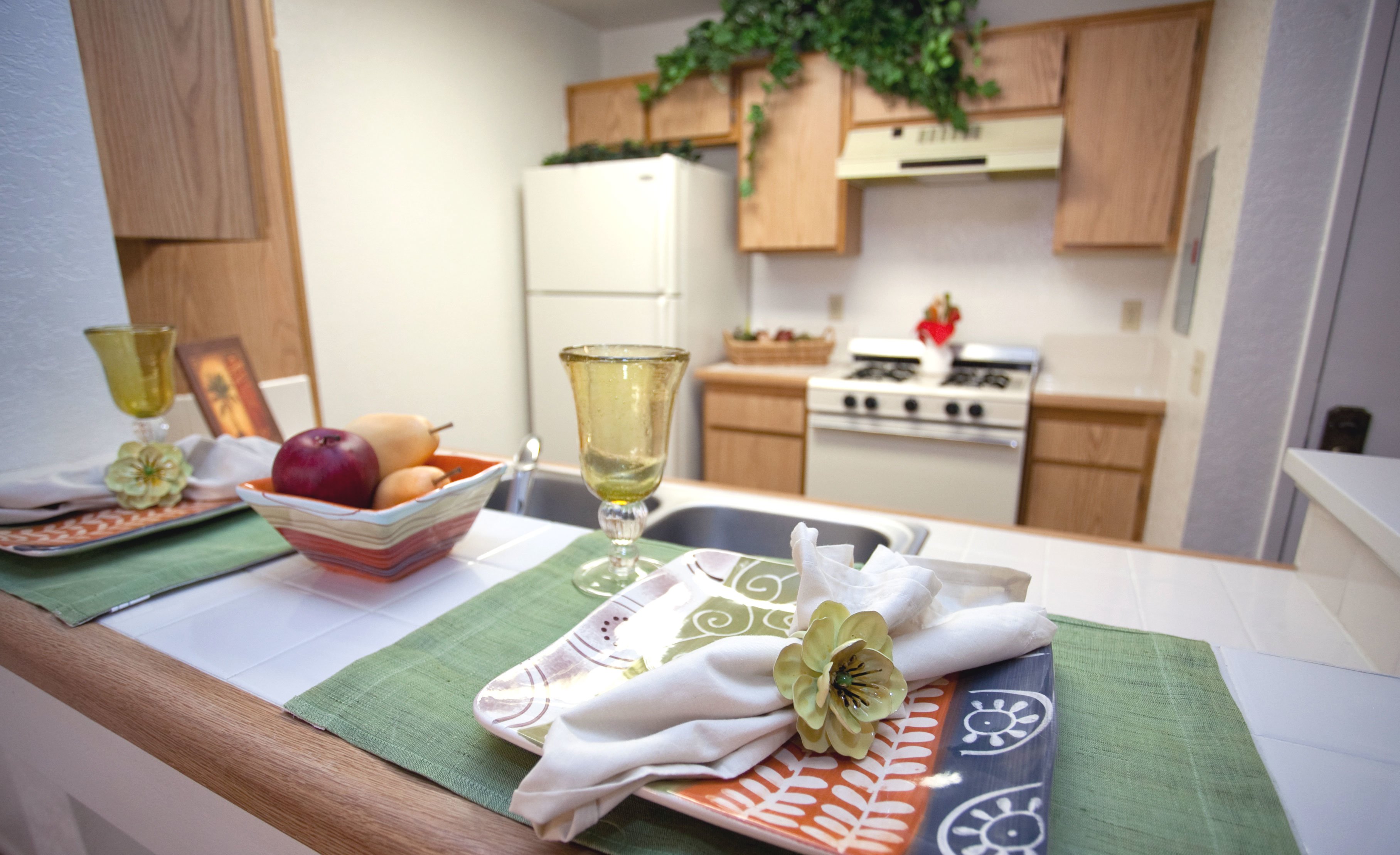 Village Green Senior Apartments Home