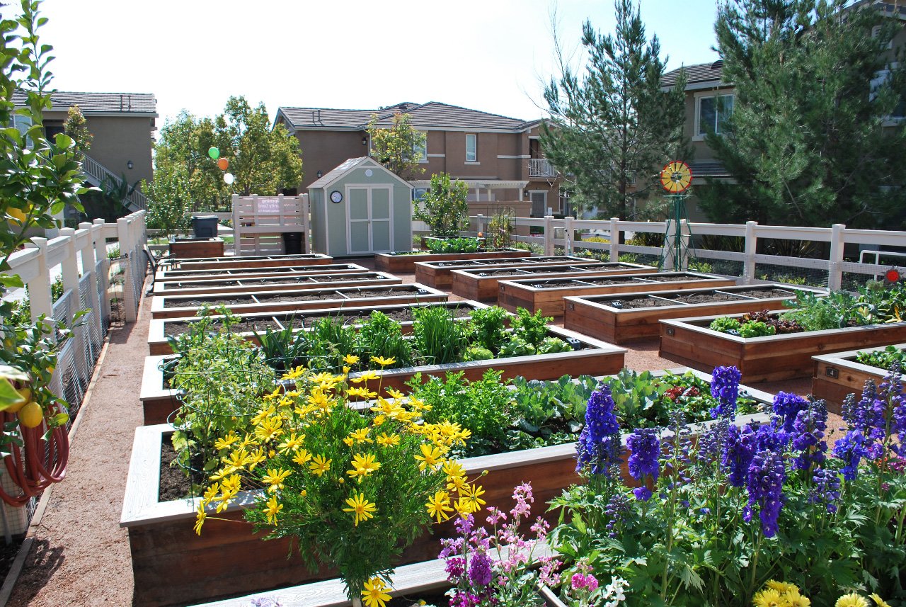 Homecoming At Terra Vista Apartment Homes For Rent
